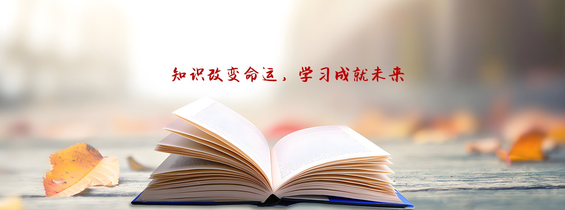 爱游戏网页版官方网站新手怎么玩微机保